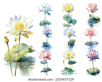 Botanical watercolor painting style of lotus flowers in various colors, Vector Illustration