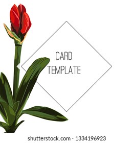 Botanical wedding invitation card template design, red lily flowers bud and leaves with black frame on white background, vintage style.
