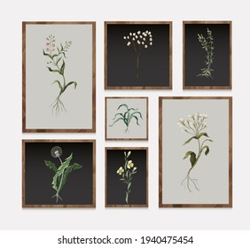 Botanical wild flowers within the framework. Vector