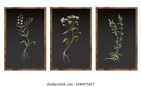 Botanical wild flowers within the framework. Vector
