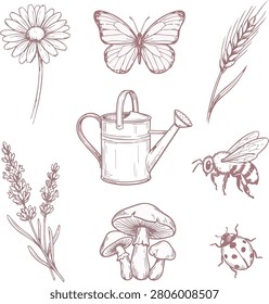 botanical wildflower meadow doodle set flowers insects and garden vector