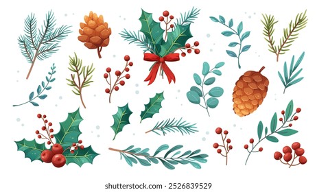 Botanical winter plants set. Christmas flowers, holly, berries, spruce and pine branches. Vector elements