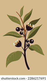 Botanical Wonders A Collection of Stunning Plant Illustrations