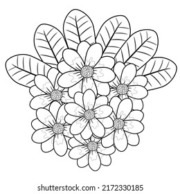 Botanicals Frangipani Flowers And Leave Hand Draw Flower Drawing In Black And White For Adult Coloring Book.