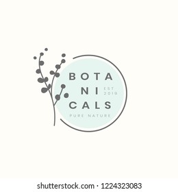 Botanicals nature logo design vector