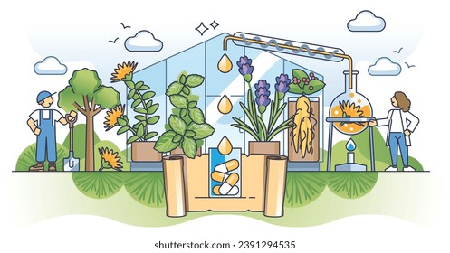 Concepto de contorno de extracto de aceite para la salud de ingredientes naturales y oleoductos. El bienestar ecológico y la medicina de la terapia aroma o la ilustración vectorial de la esencia floral. Sustancias cosméticas botánicas vegan.