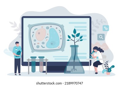 Botanist examines structure of plant cell under microscope. Scientists research crops and make experiments in laboratory. Biotechnology. Doctors doing molecular science research. Vector illustration