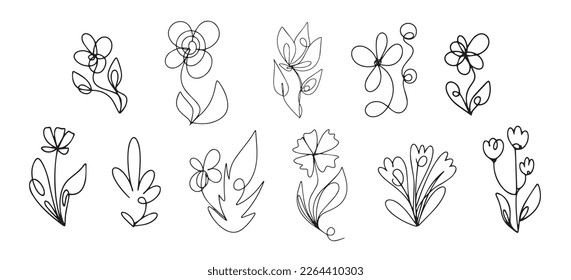 Botanist vector design minimalistic wild flowers leaves for logo or tattoo Minimal line art for cover print or wallpaper