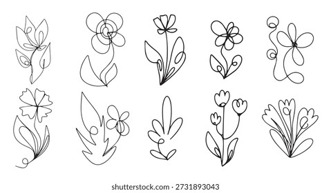 Diseño de Vector botánico Flores silvestres minimalistas