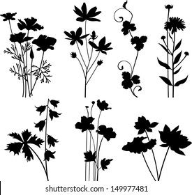 Botany collection
