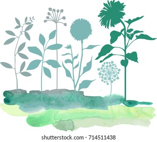 Botany composition