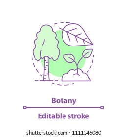 Botany concept icon. Science idea thin line illustration. Plant biology. Birch tree, leaf, sprout. Vector isolated outline drawing. Editable stroke