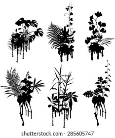 Botany, floral grunge