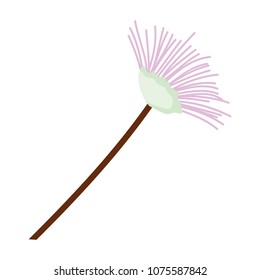 botany flower plant nature style