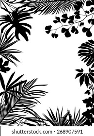 Botany frame