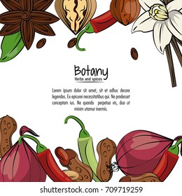 Botany herbs and spices