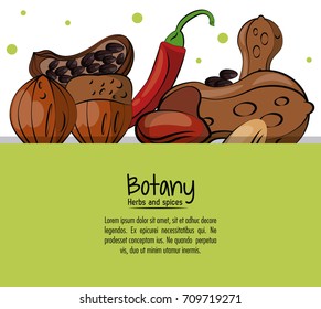 Botany herbs and spices