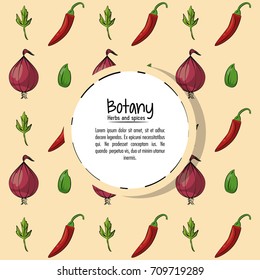 Botany herbs and spices
