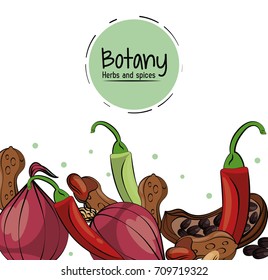 Botany herbs and spices