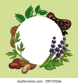 Botany herbs and spices