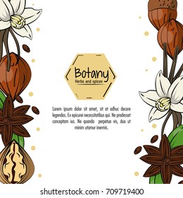 Botany herbs and spices