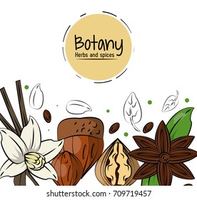 Botany herbs and spices