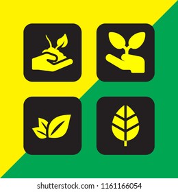 botany icon. 4 botany set with leaf vector icons for web and mobile app