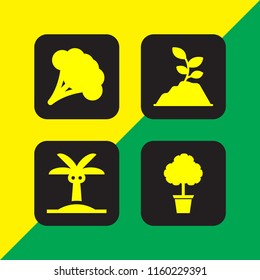 botany icon. 4 botany set with tree, broccoli, palm tree and soil vector icons for web and mobile app