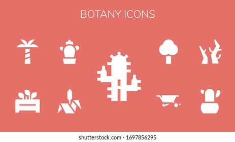 conjunto de iconos botánicos. 9 iconos de botánica rellenos. Cactus, Bulrush, Flowerpot, Palm tree, Branches, Wheelbarrow, iconos de árbol incluidos