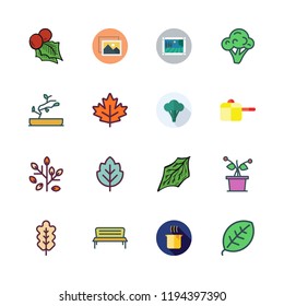 botany icon set. vector set about plant, image, maple leaf and broccoli icons set.