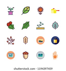 botany icon set. vector set about bonsai, acorn, sunflower and plant icons set.