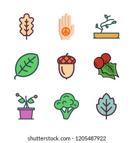 botany icon set. vector set about bonsai, acorn, broccoli and oak leaf icons set.