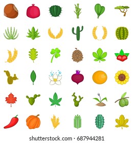 Botany icons set. Cartoon style of 36 botany vector icons for web isolated on white background