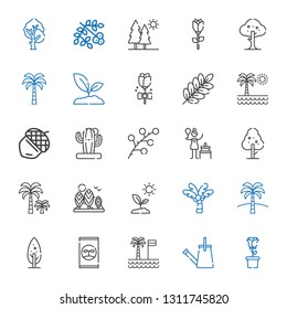 botany icons set. Collection of botany with rose, watering can, palm tree, fertilizer, tree, sprout, birch, branch, cactus, acorn, trees, viburnum. Editable and scalable botany icons.