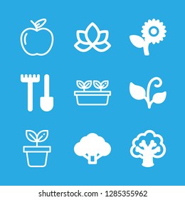 botany icons set with leaves, broccoli and plant vector set