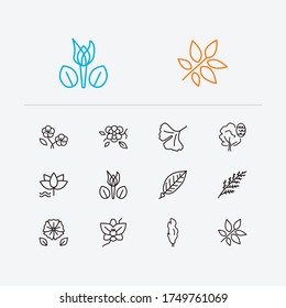 Botanik-Symbole gesetzt. Orchideen und Botaniksymbole mit Wasserlilie, Ginkgo Biloba und Magnolia. Set von frisch für Web App Logo UI Design.