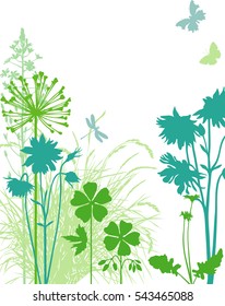 Botany illustration