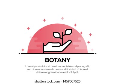 BOTANY AND ILLUSTRATION ICON CONCEPT