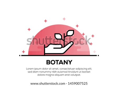 BOTANY AND ILLUSTRATION ICON CONCEPT