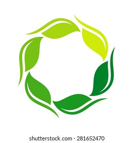 botany leaf logo nature template icon vector