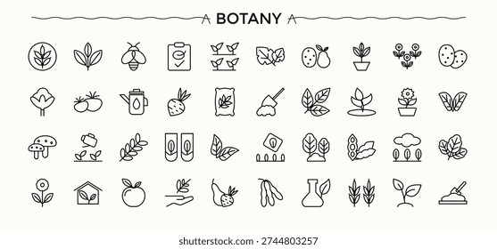 Botany line icon set. Organic icons for application. Collection for mobile and web apps. Plant linear icon set. Vector illustration. Pixel perfect.