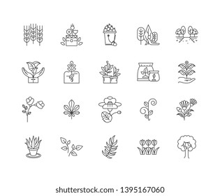 Botany line icons, signs, vector set, outline illustration concept 