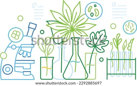 Botany, linear illustration. Green plants, sprouts and leaves in lab tubes and flasks. Phytology, plant growing, crops, school subject, science fair, research report. Editable strokes