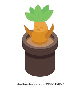 Botany mandrake icon isometric vector. Green leaf. Magic root