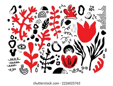 Botany motifs and ornaments, isolated flowers and foliage leaves. geometri decoration or line art. Blooming flora and flourishing, botanic biodiversity and weeds for aquarium. Vector in flat style