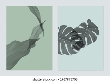 Botany poster template design, various monochrome leaves on green and blue