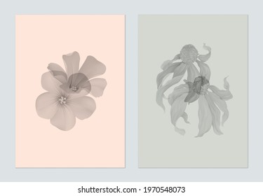 Botany poster template design, various monochrome flowers on pink and grey
