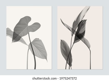 Botany poster template design, various monochrome leaves on grey and brown