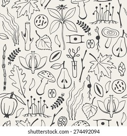 Botany - school vector background. Doodle style hand drawn seamless pattern. Botanical objects.