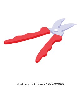 Botany scissors icon. Isometric of Botany scissors vector icon for web design isolated on white background